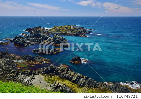 禮文島徒步海岬之旅 禮文島徒步海岬之旅 110748721