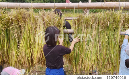Natural drying 110749016