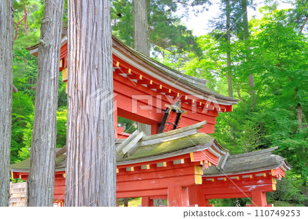 Tohoku, Hiraizumi, World Heritage Site Hiraizumi famous spot Tatsukoku Bishamondo, view of splendid torii gate, Hiraizumi Town, Iwate Prefecture (1) 110749253