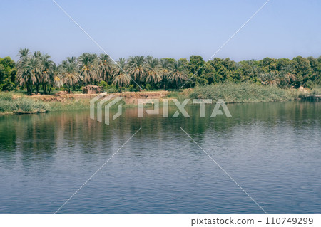 Majestic Nile Shoreline: Forest from the Cruise Ship. Egypt Summer Travel Majestic Nile Shoreline: Forest from the Cruise Ship. Egypt Summer Travel 110749299