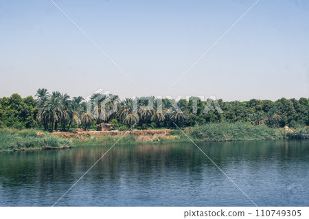 Majestic Nile Shoreline: Forest from the Cruise Ship. Egypt Summer Travel 110749305