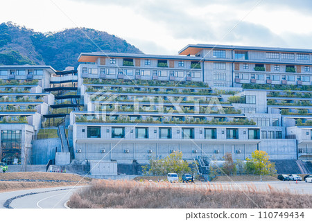 VISON(January) VISON(January) 110749434