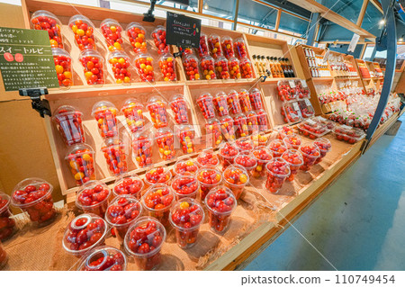 VISON(January) VISON(January) 110749454