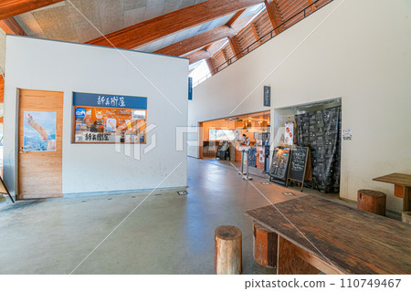 VISON(January) VISON(January) 110749467