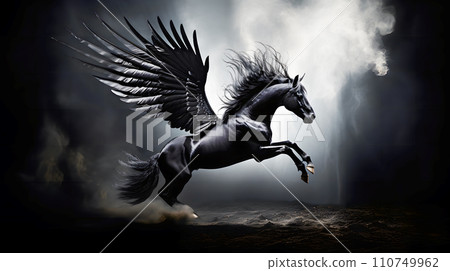 飛馬 飛馬 110749962