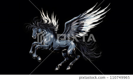 Pegasus 110749965
