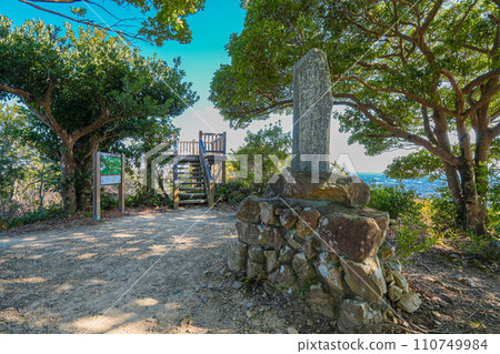 橫山展望台（1月） 110749984