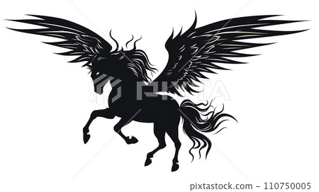 Pegasus Pegasus 110750005
