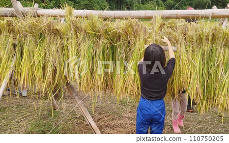 Natural drying 110750205