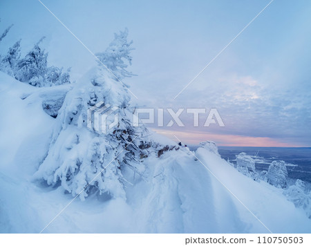 Minimalistic pink dawn magical bizarre silhouette of trees and stones are plastered with snow. 110750503