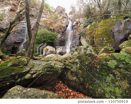 山野觀音/強來前瀑布 [香川縣小豆郡土莊町大部] 小豆島 5 110750919
