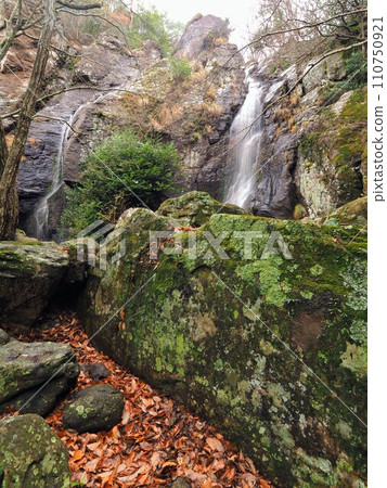 山野觀音/強來前瀑布 [香川縣小豆郡土莊町大部] 小豆島 6 110750921