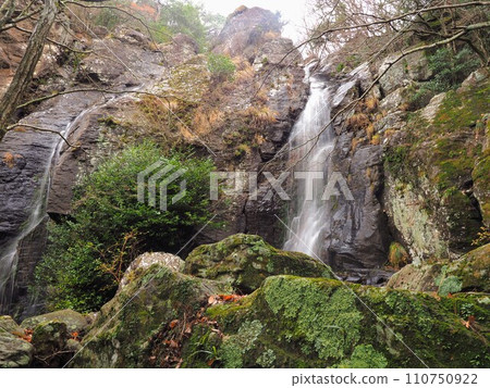 山野觀音/強來前瀑布 [香川縣小豆郡土莊町大部] 小豆島 7 110750922