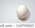 Egg 110750925