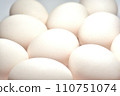 Egg 110751074