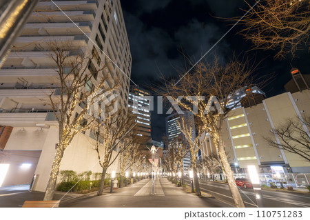 Illuminations from Kobe Gaslight Street to Harbor Road, Kobe City, Hyogo Prefecture 110751283