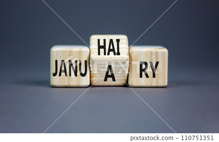 Januhairy or January symbol. Concept words Januhairy or January on beautiful wooden blocks. Beautiful grey table grey background. Social issues Januhairy or January concept. Copy space. Januhairy or January symbol. Concept words Januhairy or January on beautiful wooden blocks. Beautiful grey table grey background. Social issues Januhairy or January concept. Copy space. 110751351