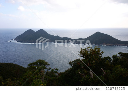 Yakushima - View of arrow bushes from Banyamine Yakushima - View of arrow bushes from Banyamine 110752225