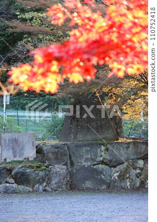 Sarumaru Shrine Sarumaru Shrine 110752418