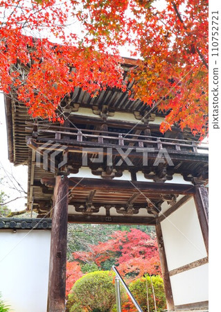 Chogakuji autumn leaves 110752721