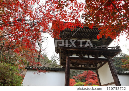 長岳寺秋葉 110752722