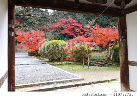 長岳寺秋葉 長岳寺秋葉 110752723