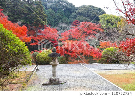 長岳寺秋葉 長岳寺秋葉 110752724