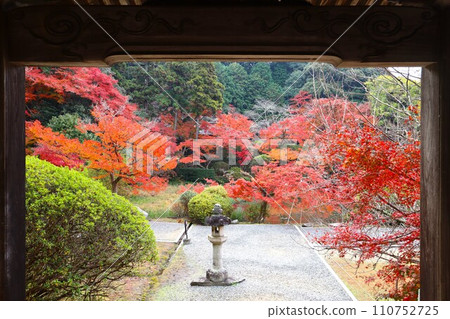 Chogakuji autumn leaves Chogakuji autumn leaves 110752725