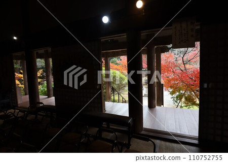 Chogakuji autumn leaves 110752755