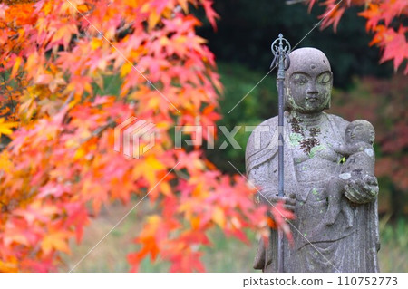 Chogakuji autumn leaves Chogakuji autumn leaves 110752773