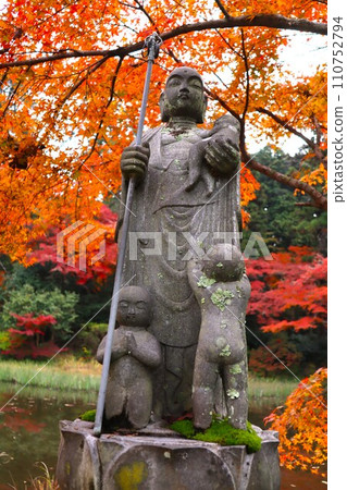 Chogakuji autumn leaves 110752794
