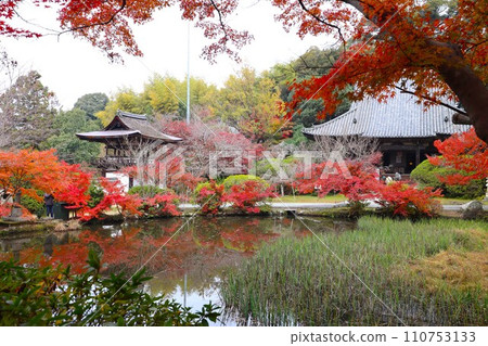 長岳寺秋葉 110753133