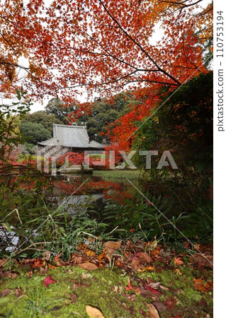 長岳寺秋葉 長岳寺秋葉 110753194