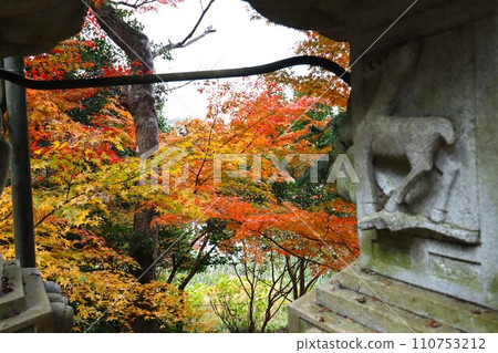 長岳寺秋葉 110753212