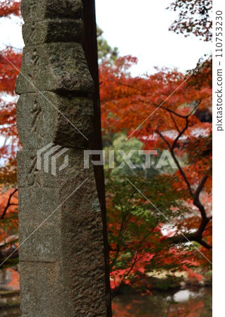 Chogakuji autumn leaves Chogakuji autumn leaves 110753230