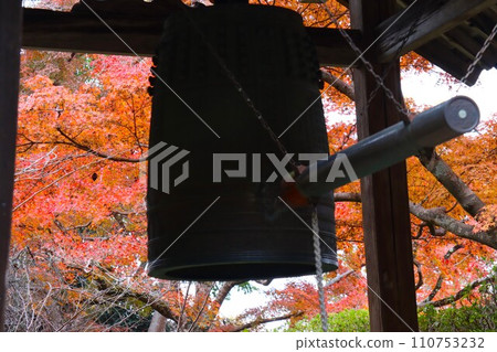 Chogakuji autumn leaves Chogakuji autumn leaves 110753232