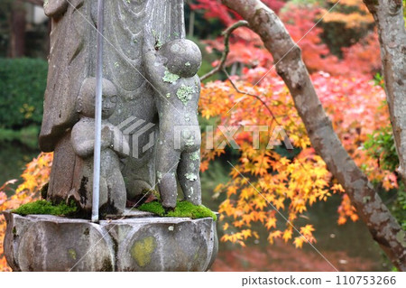 Chogakuji autumn leaves Chogakuji autumn leaves 110753266