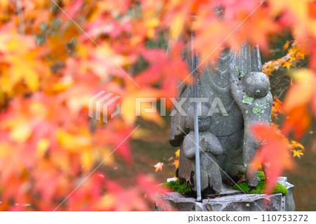 Chogakuji autumn leaves 110753272