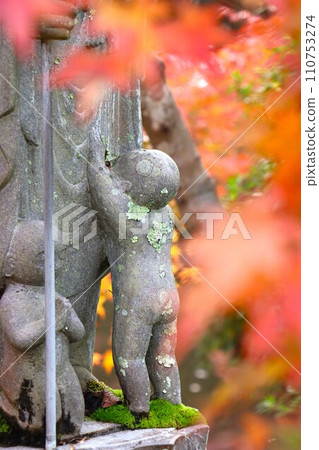 Chogakuji autumn leaves Chogakuji autumn leaves 110753274