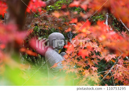 長岳寺秋葉 110753295