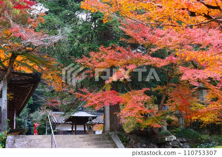 長岳寺秋葉 110753307