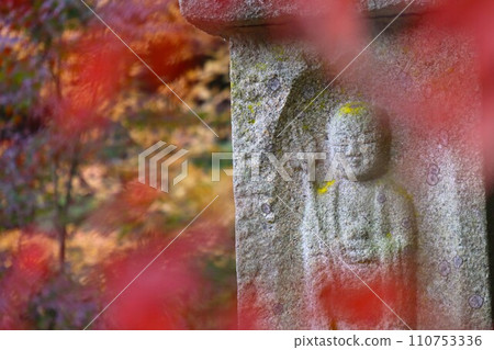 長岳寺秋葉 長岳寺秋葉 110753336