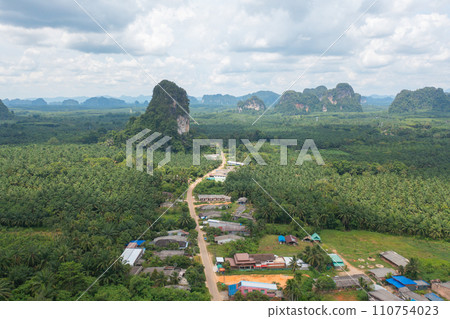 Aerial top view of Samet Nangshe, Phang Nga with city town, lush green trees from above in tropical forest in national park in summer season. Natural landscape. Pattern texture background. Aerial top view of Samet Nangshe, Phang Nga with city town, lush green trees from above in tropical forest in national park in summer season. Natural landscape. Pattern texture background. 110754023
