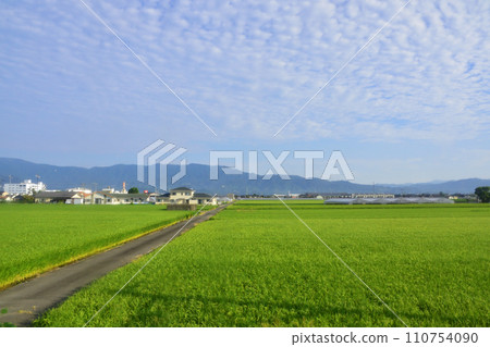 JR九州,從高橋站(佐世保線)到佐賀站(長崎本線)的車窗景色(上午) JR九州,從高橋站(佐世保線)到佐賀站(長崎本線)的車窗景色(上午) 110754090