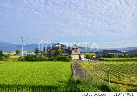 JR Kyushu, view from the train window from Takahashi Station (Sasebo Line) to Saga Station (Nagasaki Main Line) (morning) JR Kyushu, view from the train window from Takahashi Station (Sasebo Line) to Saga Station (Nagasaki Main Line) (morning) 110754091