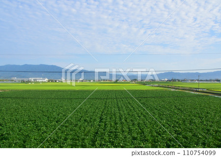 JR九州，從高橋站（佐世保線）到佐賀站（長崎本線）的車窗景色（上午） 110754099