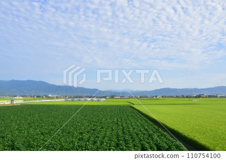 JR九州，從高橋站（佐世保線）到佐賀站（長崎本線）的車窗景色（上午） 110754100