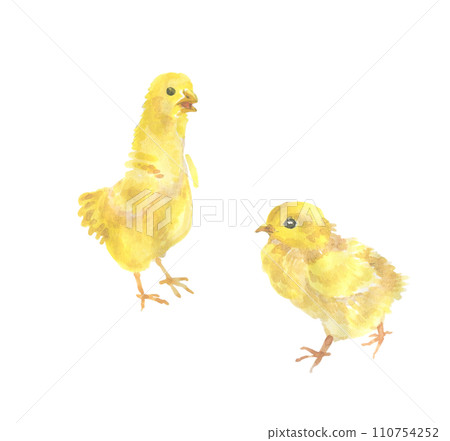 two chicks two chicks 110754252