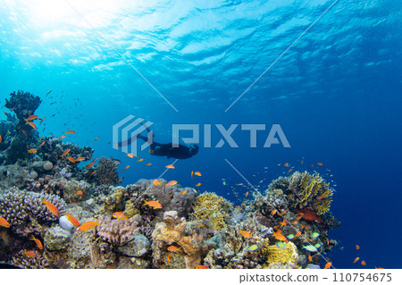Freediver Swimming in Deep Sea With Sunrays. Young Man DIver Eploring Sea Life. 110754675