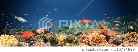 Underwater Tropical Corals Reef with colorful sea fish. Marine life sea world. Tropical colourful underwater seascape. 110754689